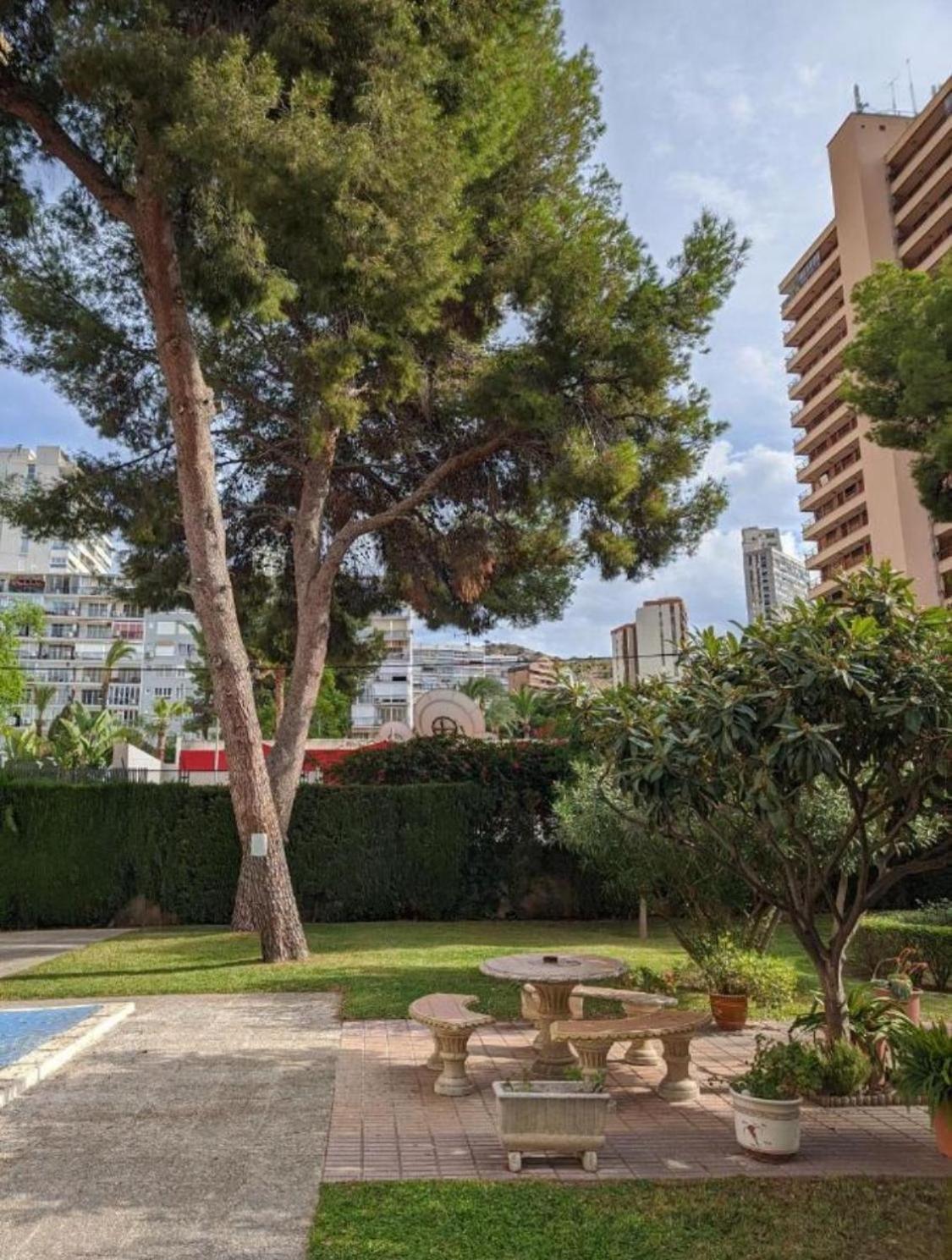 Apto San Angelo Benidorm Vistas Al Mar 400 M المظهر الخارجي الصورة
